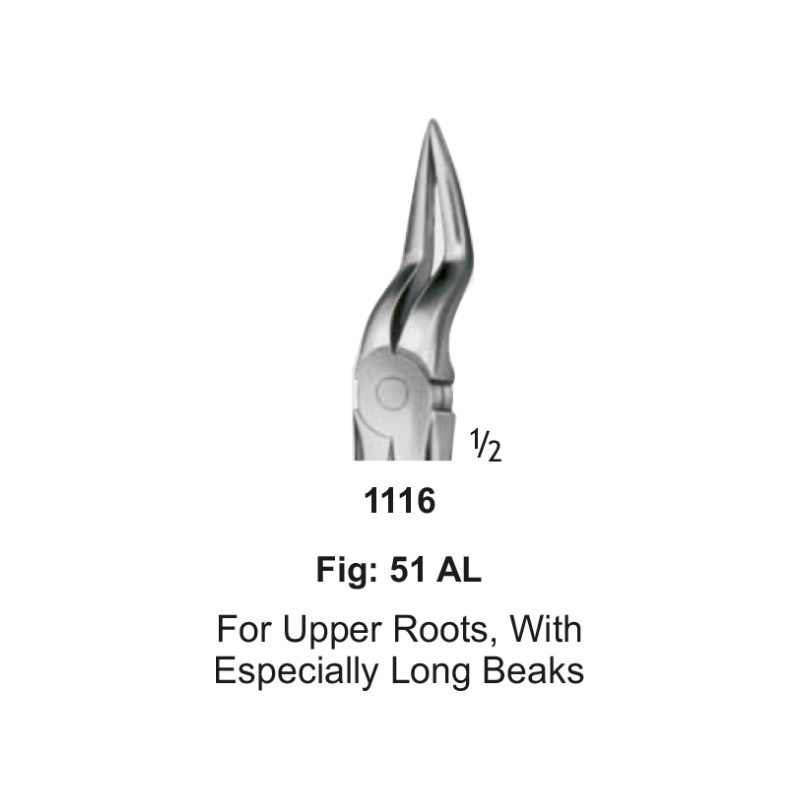 Tooth Forceps, for upper roots, long pattern narrow beaks, fig: 51AL
