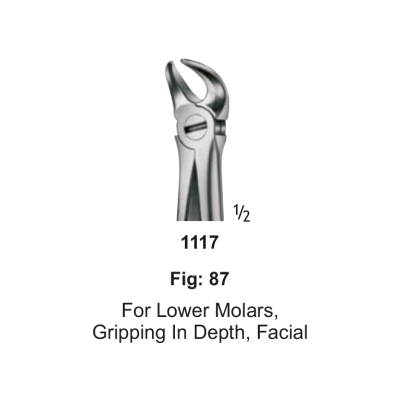 Tooth Forceps, for lower molars, gripping in depth, facial, fig: 87