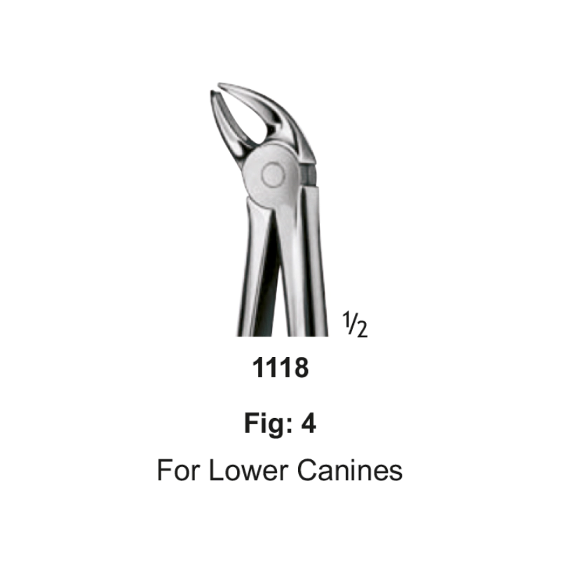 Tooth Forceps, for lower canines, fig: 4