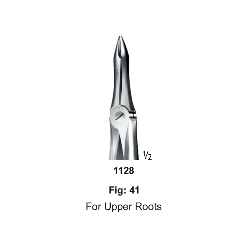 Tooth Forceps, for upper roots, Fig: 41