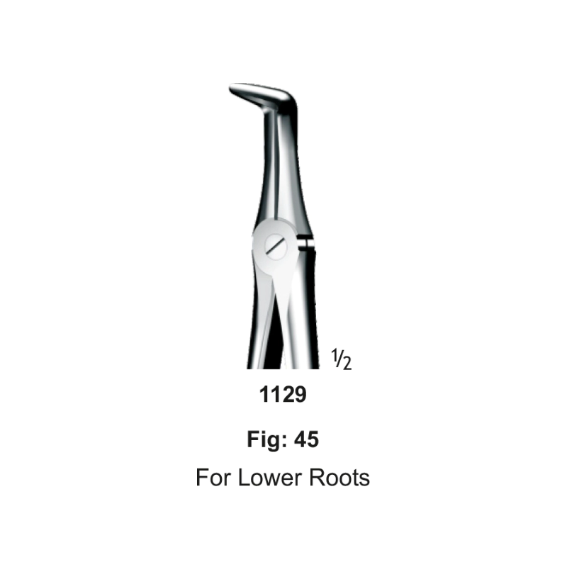 Tooth Forceps, For Lower Roots, Fig: 45