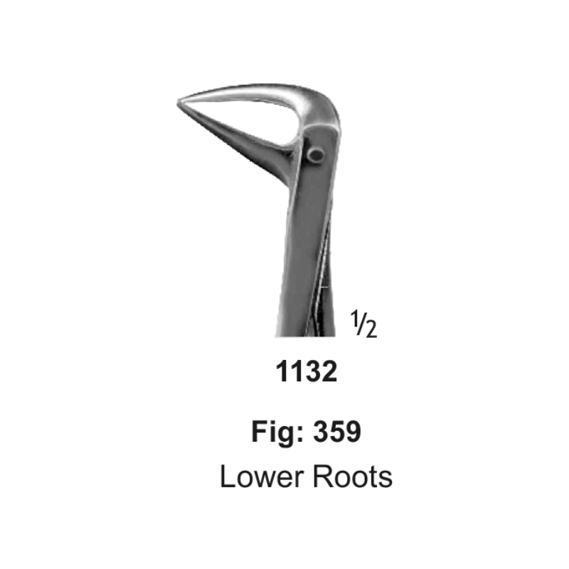 Tooth Forceps, Lower roots, Fig: 33 L