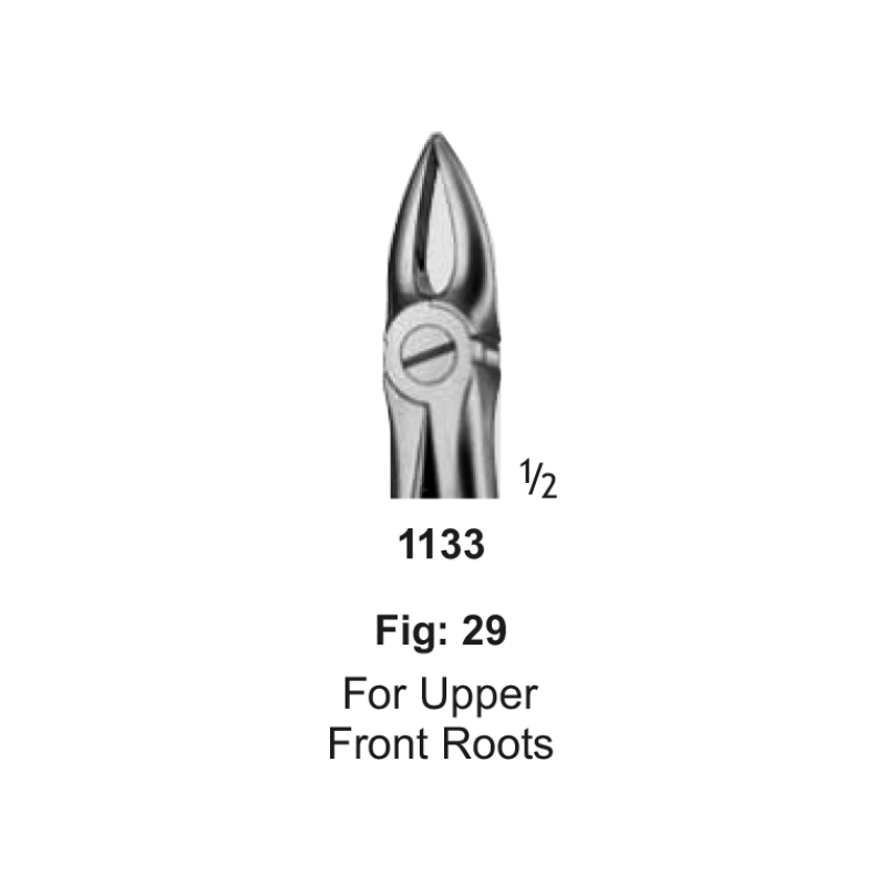 Tooth Forceps, for upper front roots, fig: 29