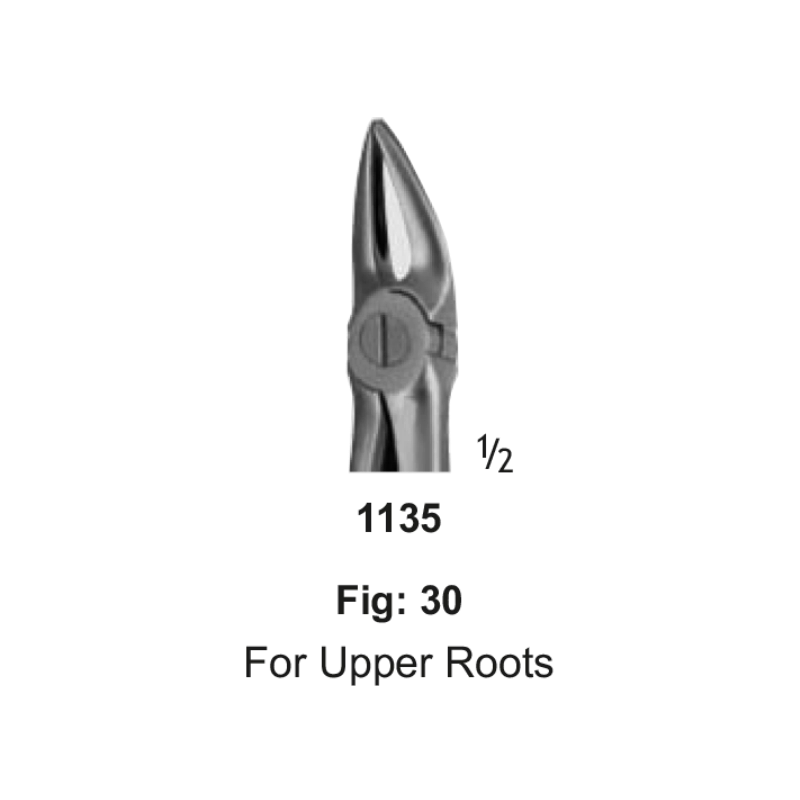 Tooth Forceps, for upper roots, fig: 30