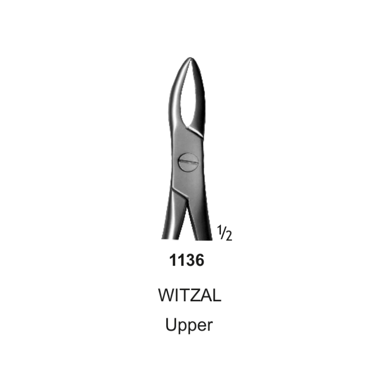 Tooth Forceps, Witzal, Upper