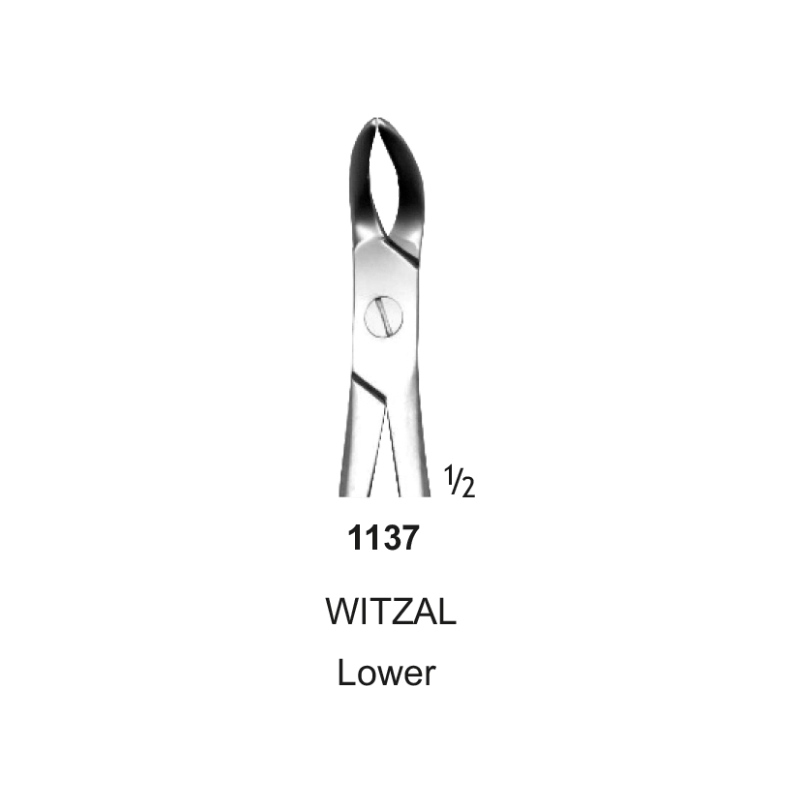 Tooth Forceps, Witzal, Lower