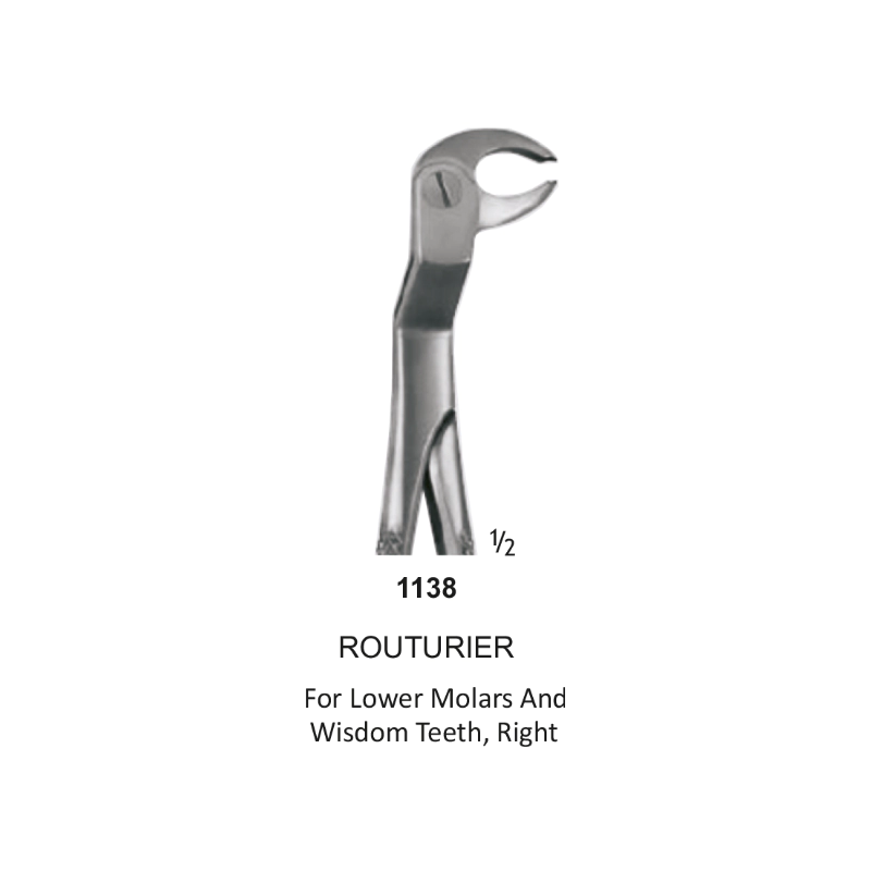 Tooth Forceps, Routourer, for lower molars & wisdom teeth Right.