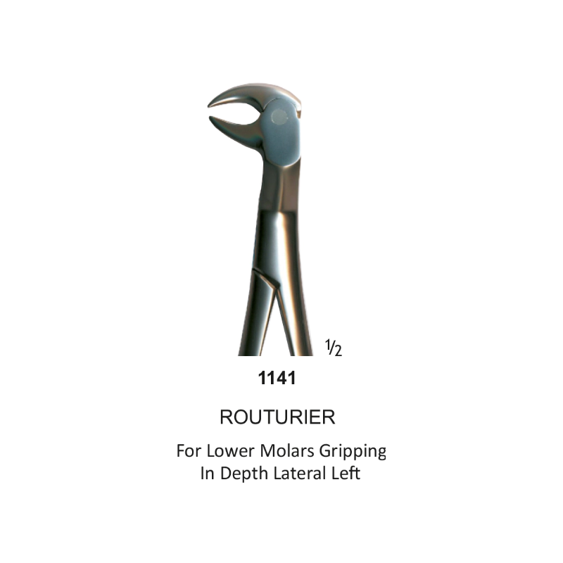 Tooth Forceps, Routourer, for lower molars gripping in depth lateral Left, Cow Horn