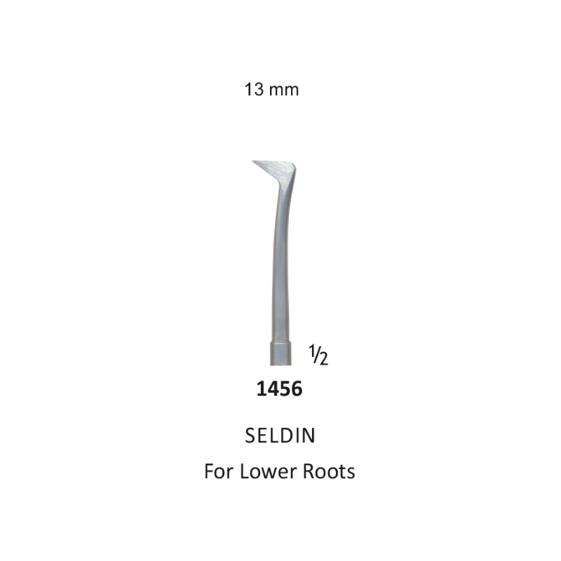 Tooth Elevator, SELDIN For lower Roots, right, 13mm
