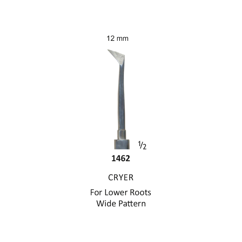 Tooth Elevator, CRYER For Lower Roots Wide, right, Pettern 12mm