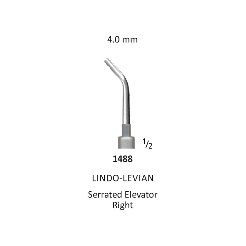 Tooth Elevator, Lindo-levian Serrated, 4 mm - Right