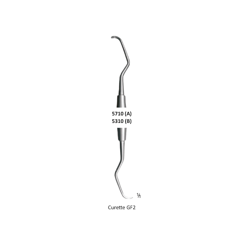 Periodontal Curette, GF-2, Octagon Handel