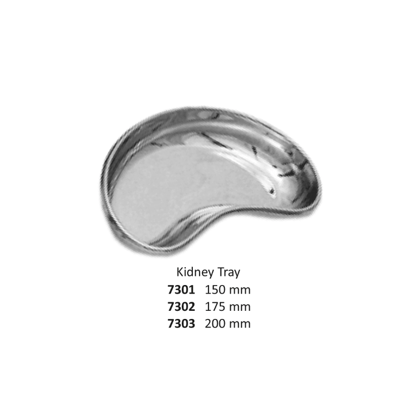 Kidney Tray, 200 mm